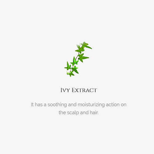 H-Tea Tree Shampoo