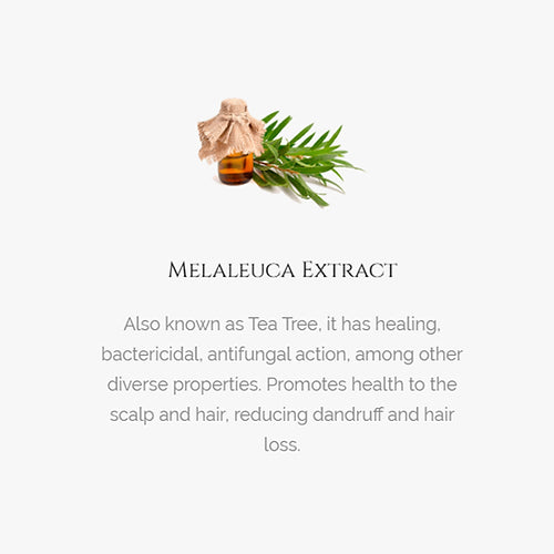 H-Tea Tree Shampoo