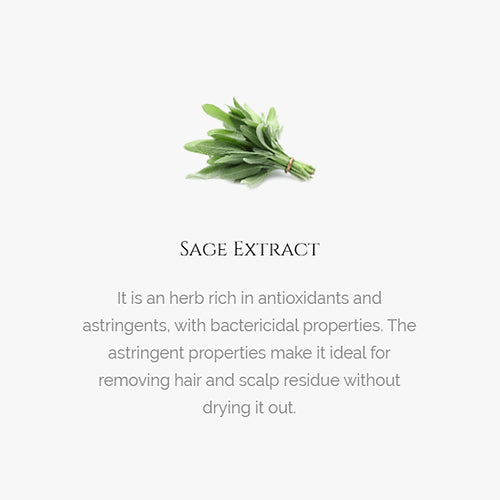 H-Tea Tree Shampoo