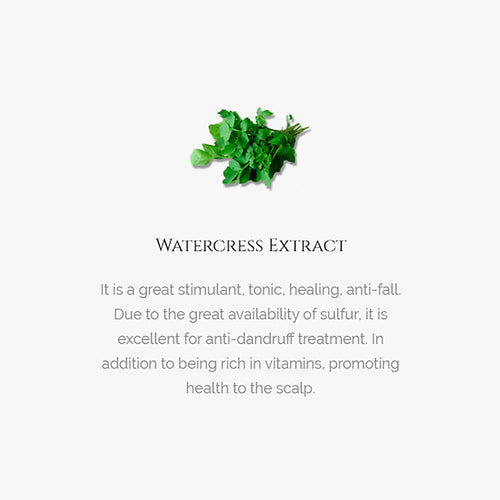 H-Tea Tree Shampoo