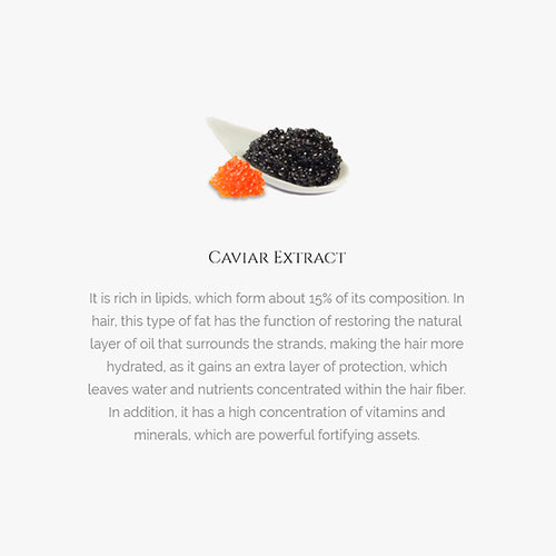 Collagen Caviar Shampoo